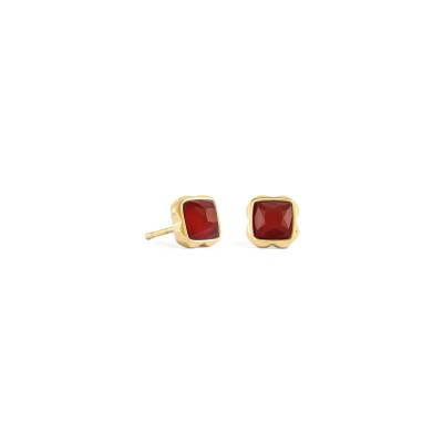 Boucles d'oreilles Coeur de Lion Pierres de naissance Janvier en acier doré et agate rouge