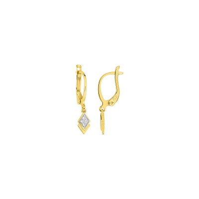 Boucles d'oreilles pendantes en plaqué or et oxyde de zirconium