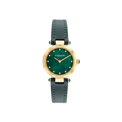 Montre COACH Cary 14503951