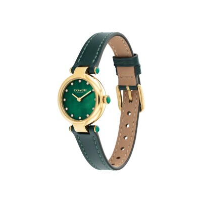 Montre COACH Cary 14503951