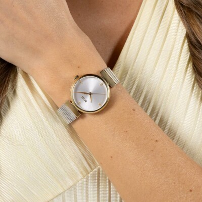 Montre BOSS Classic Rosehill 1502853
