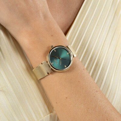 Montre BOSS Classic Rosehill 1502855