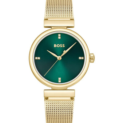 Montre BOSS Classic Rosehill 1502855