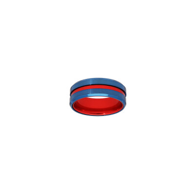 Bague en acier et aluminium