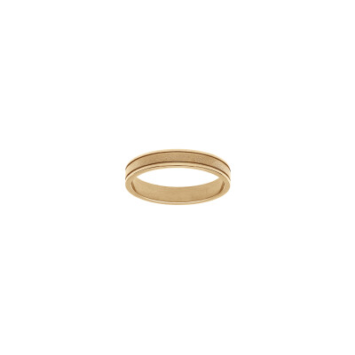 Bague en acier et pvd