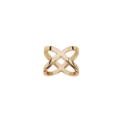 Bague en acier et pvd