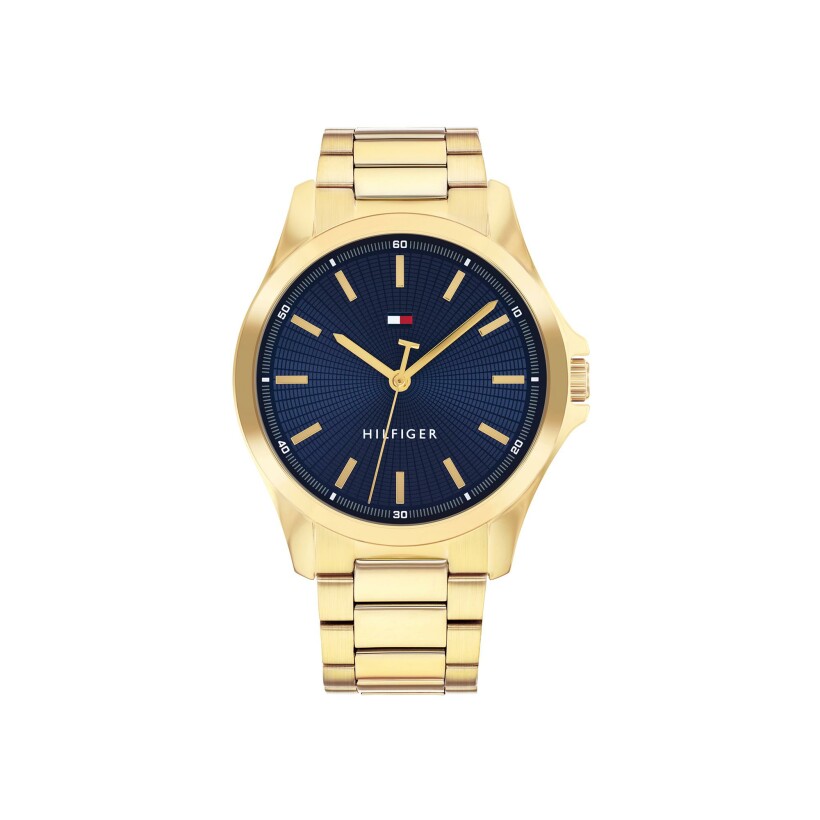 Montre Tommy Hilfiger Bruce 1710679