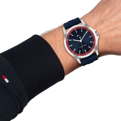 Montre Tommy Hilfiger Bruce 1710738