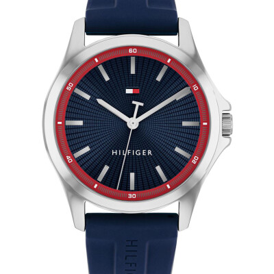 Montre Tommy Hilfiger Bruce 1710738