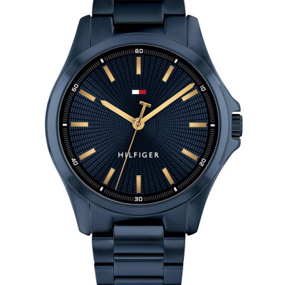 Montre Tommy Hilfiger Bruce 1710742