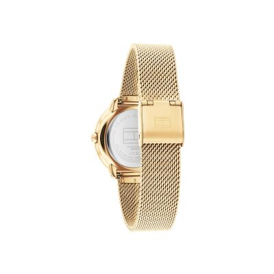 Montre Tommy Hilfiger Demi 1782699