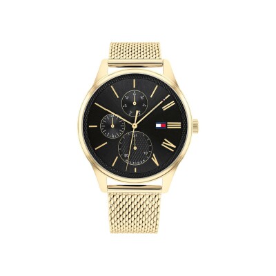 Montre Tommy Hilfiger Damon 1791848