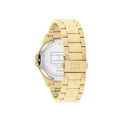 Montre Tommy Hilfiger Bruce 1792241