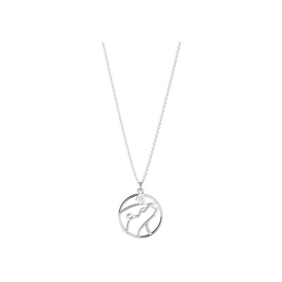 Collier Harry Potter X Les Georgettes Patronus Loutre en laiton finition argentée, 20 mm