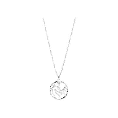 Collier Harry Potter X Les Georgettes Patronus Phoenix en laiton finition argentée, 20 mm