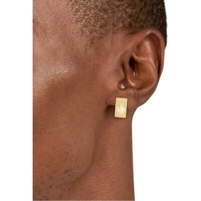Boucles d'oreilles Lacoste Backhand en acier doré