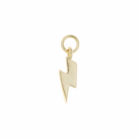 Charm Salvatore Plata en argent doré 