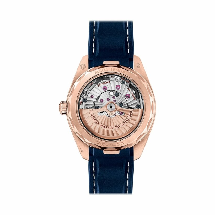 OMEGA Seamaster Aqua Terra 150M Co‑Axial Master Chronometer 41mm watch