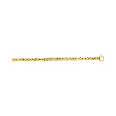Chaîne palmier creuse en or jaune, 45cm