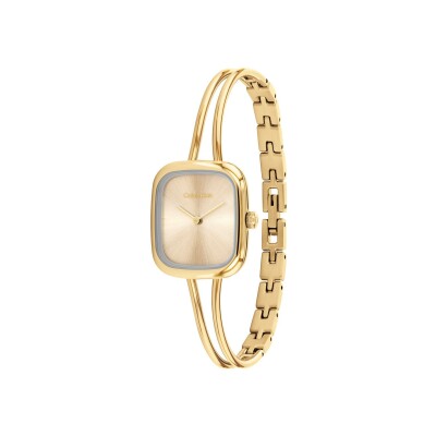 Montre Calvin Klein Distinctive Icons 25100132