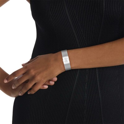 Montre Calvin Klein Distinctive Icons 25100135