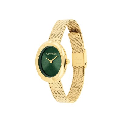 Montre Calvin Klein Distinctive Icons 25100152