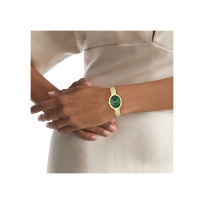 Montre Calvin Klein Distinctive Icons 25100152