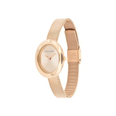 Montre Calvin Klein Distinctive Icons 25100153