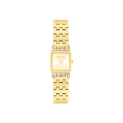 Montre Calvin Klein Distinctive Icons 25100162