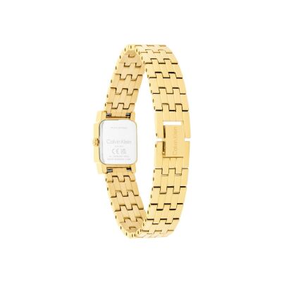 Montre Calvin Klein Distinctive Icons 25100162