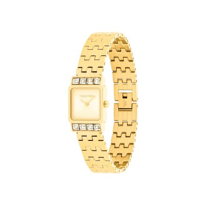 Montre Calvin Klein Distinctive Icons 25100162