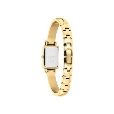 Montre Calvin Klein Moderne 25100184