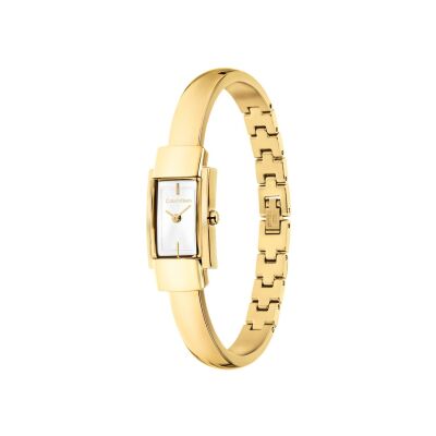 Montre Calvin Klein Moderne 25100184