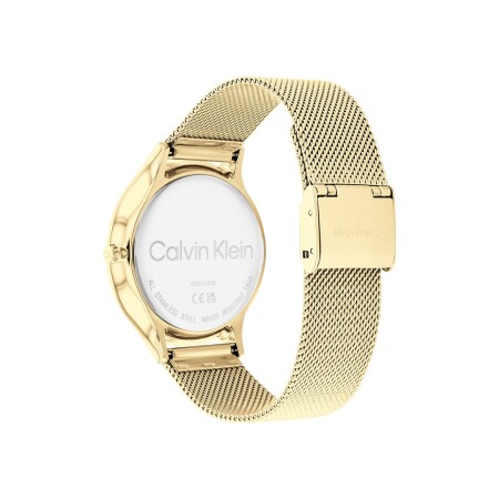 Montre Calvin Klein Timeless 25200003