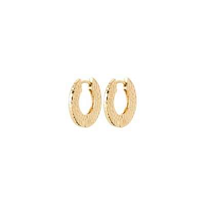 Boucles d'oreilles créoles en plaqué or