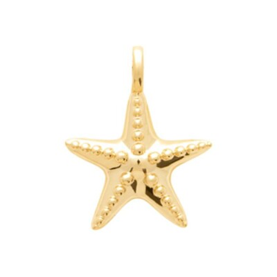 Pendentif en plaqué or