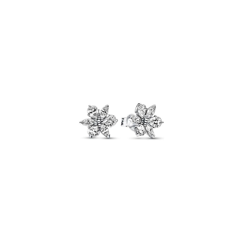 Clous d'oreilles Pandora Timeless herbier scintillant en argent