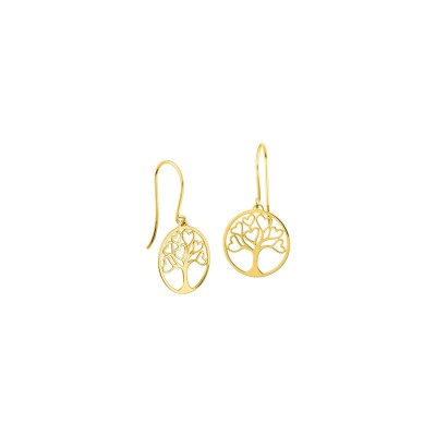 Boucles d'oreilles crochet en or jaune