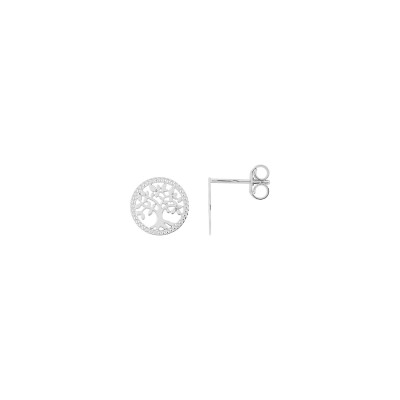 Clous d'oreilles en or blanc