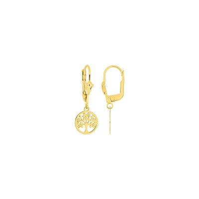 Boucles d'oreilles dormeuses en or jaune