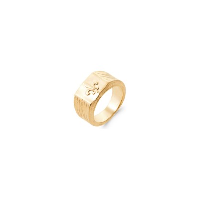 Bague en plaqué or