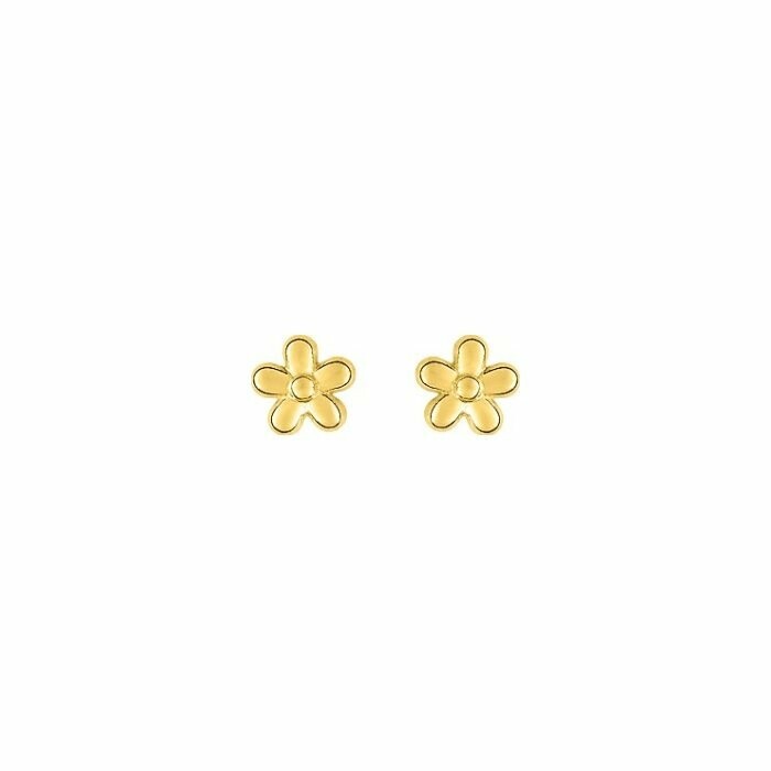 Boucles d'oreilles clous à vis en or jaune