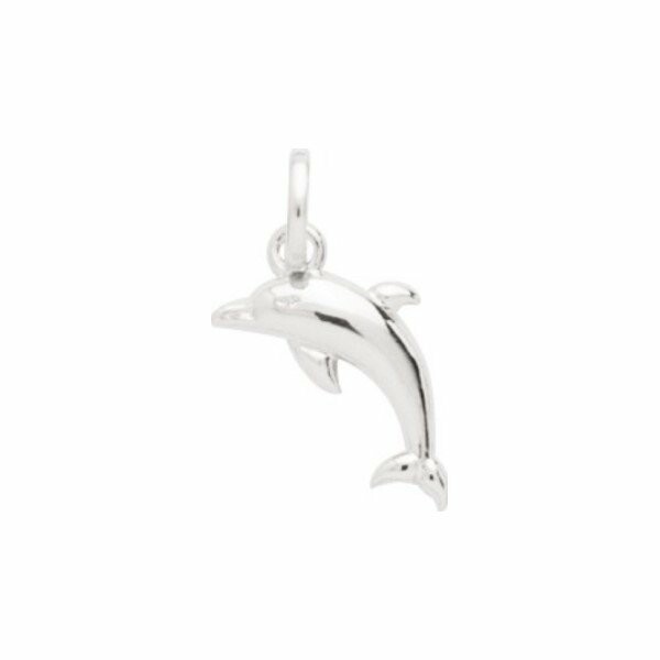 Pendentif dauphin en argent