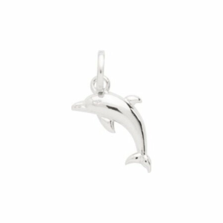 Pendentif dauphin en argent