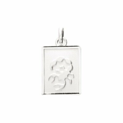 Pendentif zodiaque "Scorpion" en argent