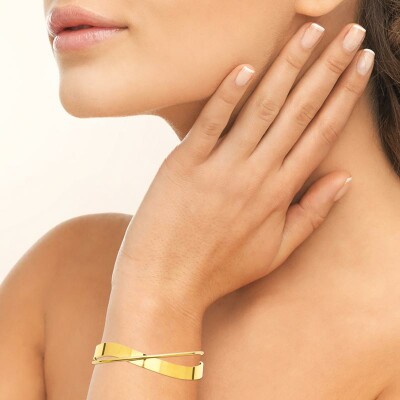 Bracelet jonc en acier et pvd