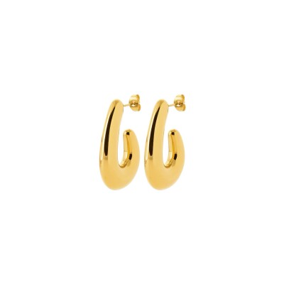 Boucles d'oreilles en acier et pvd