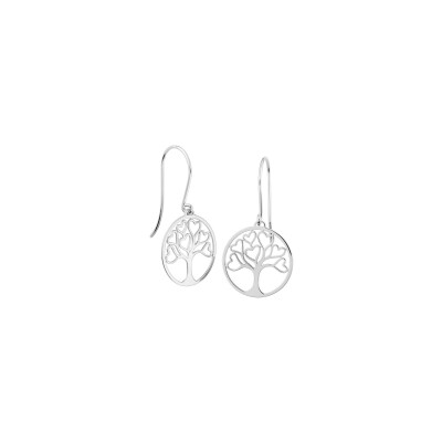 Boucles d'oreilles crochet en argent rhodié
