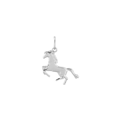 Pendentif en argent rhodié
