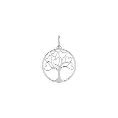 Pendentif en argent rhodié